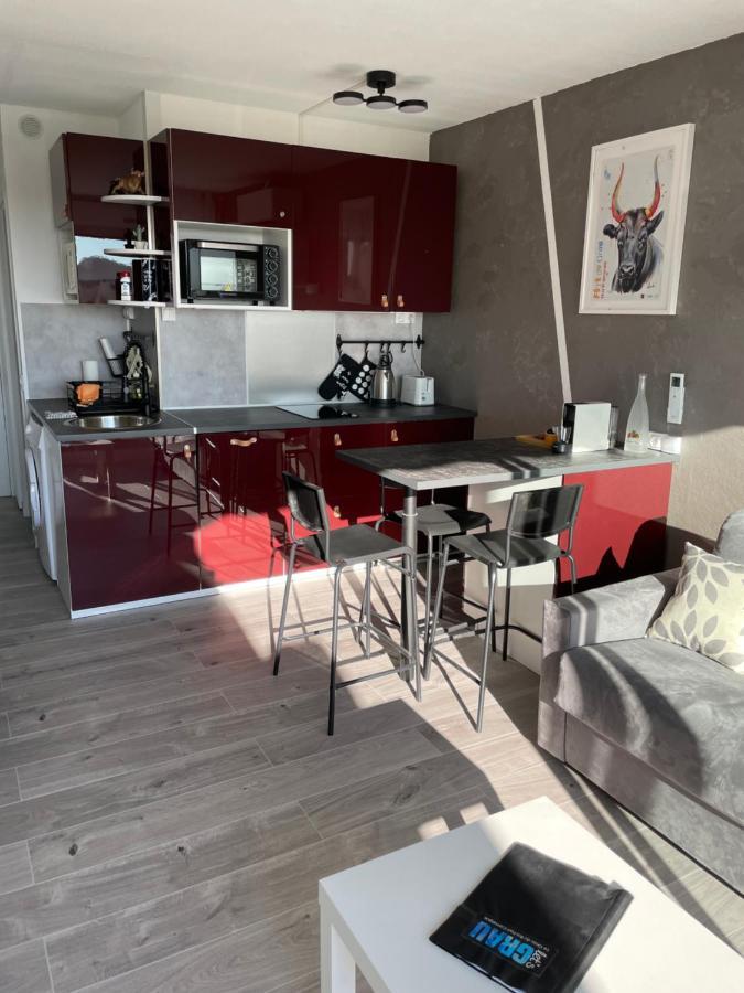Superbe Studio, Terrasse, Piscine, Parking Ле-Гро-дю-Руа Екстер'єр фото